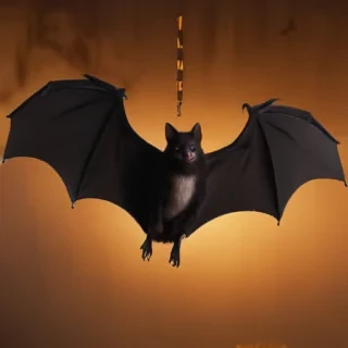 halloween bats images