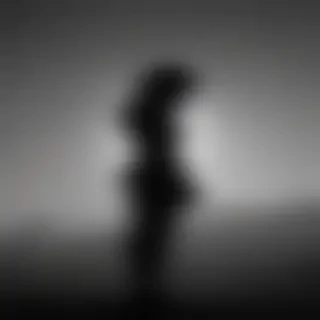 people silhouettes