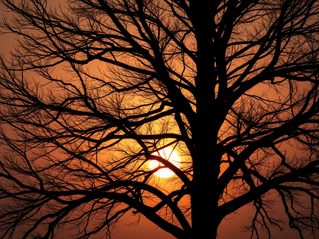 Generate a high-resolution image of a silhouette of a tree with intricate branches against a sunset background, using a DSLR camera, 50mm lens, aperture f/1.8, ISO 100, shutter speed 1/200 sec, soft focus style.