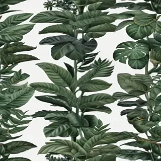 aesthetic plants png
