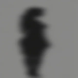 woman silhouette png