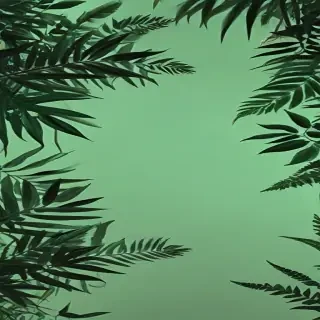 aesthetic background green