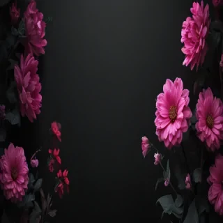 black background wallpaper aesthetic