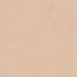 beige background aesthetic