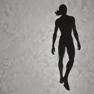 shadow transparent