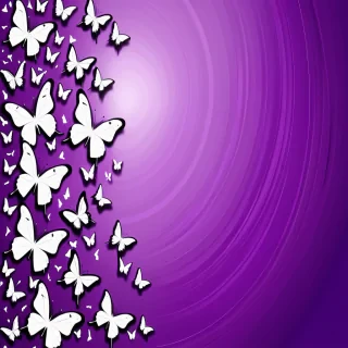 purple background with butterflies