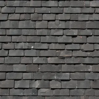 pictures of shingles