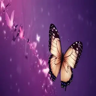 background wallpaper butterfly