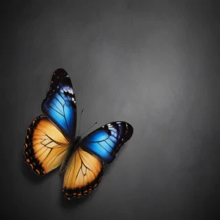 background images of butterfly