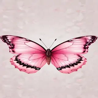 pink butterfly clipart