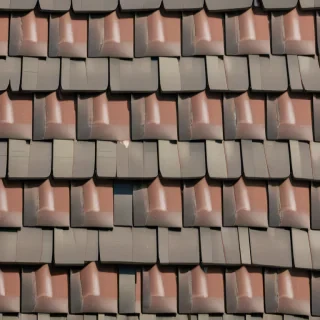 shingles images