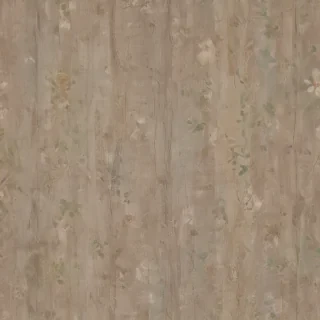cute plain wallpapers
