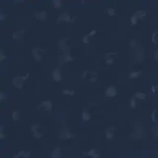 navy blue bg