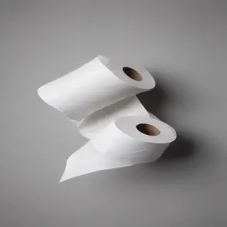 toilet paper png
