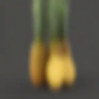 pineapple png