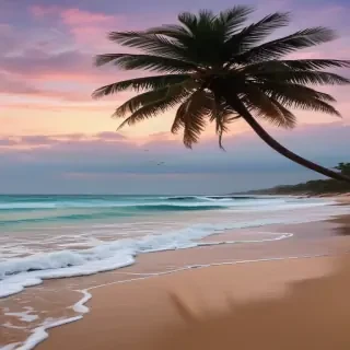 iphone beach wallpaper