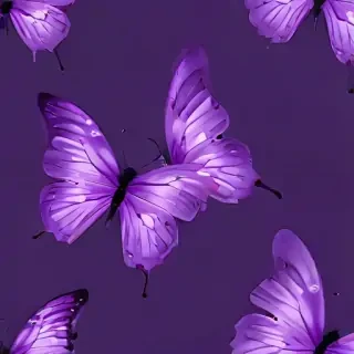 purple butterflies wallpaper