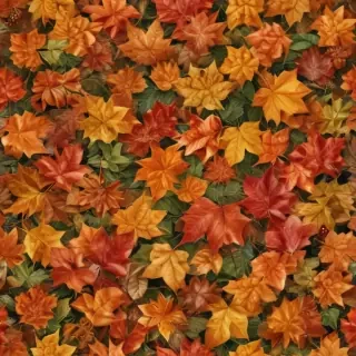 fall leaves