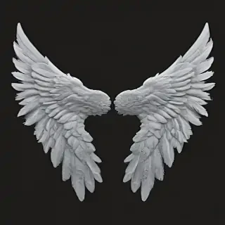 angel wings png transparent