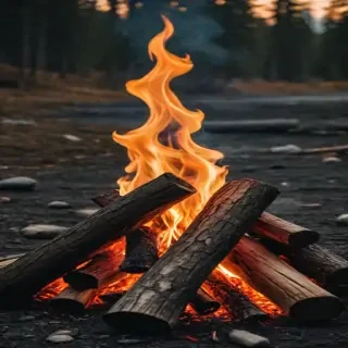 camp fire png