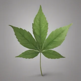 weed leaf png