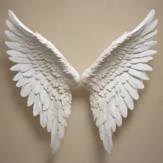 picture of angel wings