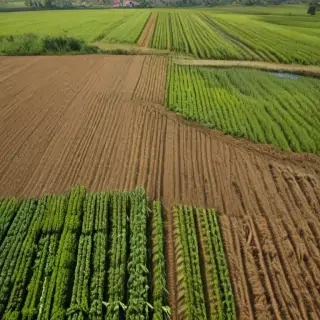 farmland png