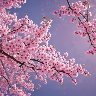 cherry blossom backgrounds