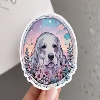 transparent aesthetic stickers