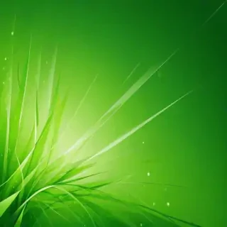 green abstract wallpaper