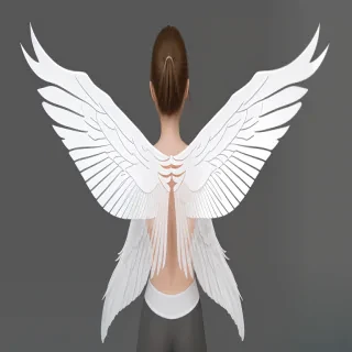 wings transparent