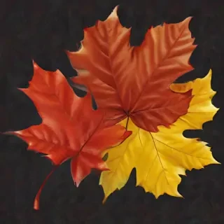 fall leaves png transparent