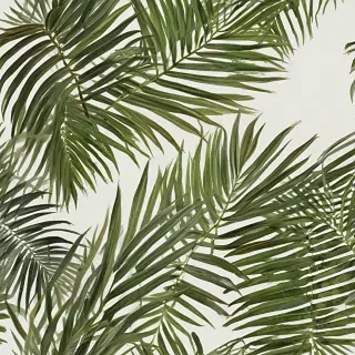 palm tree leaf png