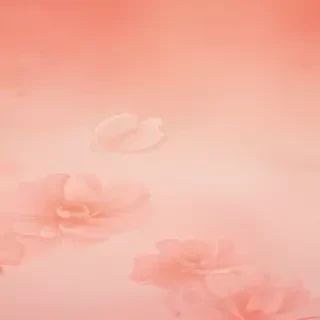 peachy backgrounds