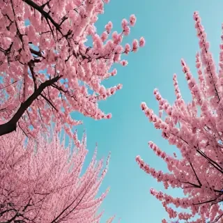 aesthetic spring wallpaper