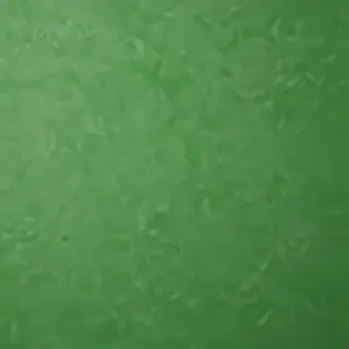 green background for iphone