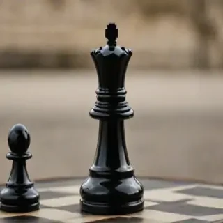 rook chess