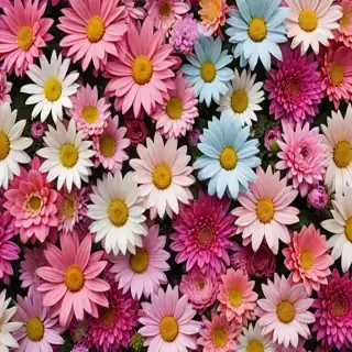 wallpaper iphone flowers