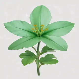 green flower png