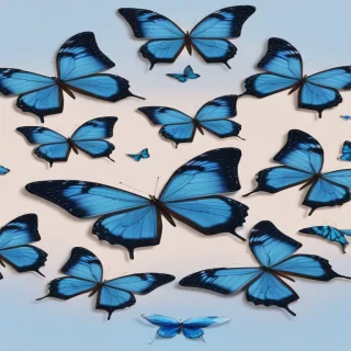 blue butterfly aesthetic