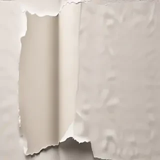 paper ripped png