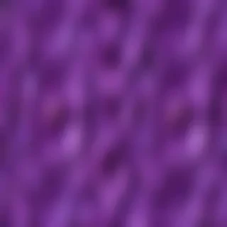 purple flowers background