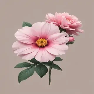 aesthetic flower png