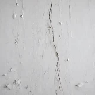 texture white wood