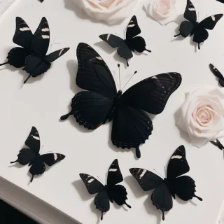 black butterfly aesthetic