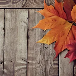 iphone backgrounds fall