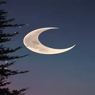 aesthetic crescent moon