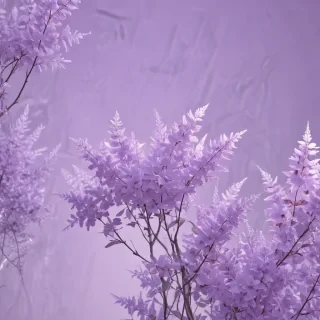 light purple aesthetic wallpaper