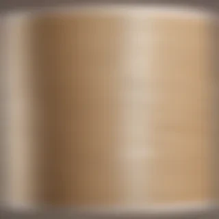 bandage png