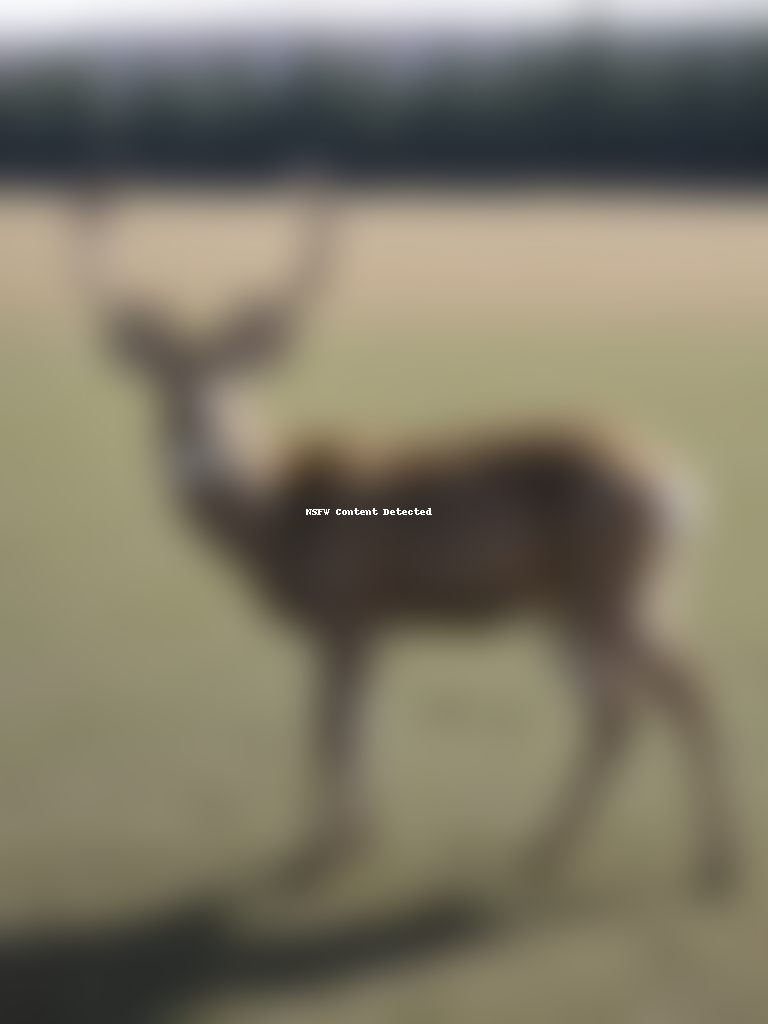 will deer eat dog food